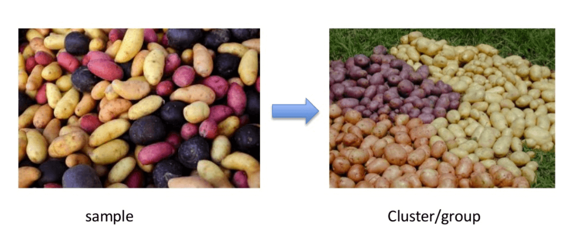 What is Clustering