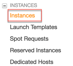 Launch Instance