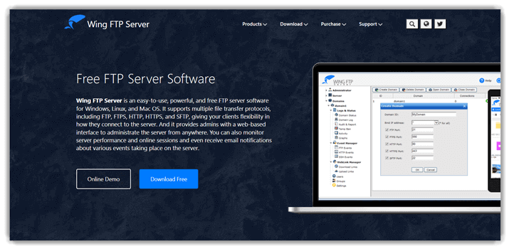 Wing FTP Server