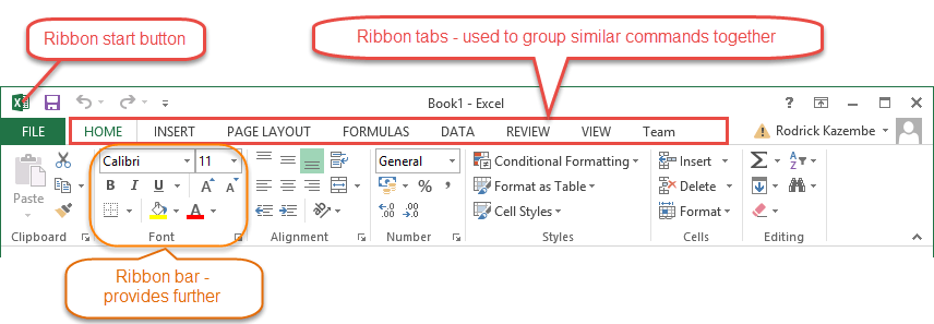 Understanding the Ribbon