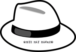 White hat hacker