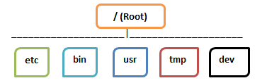 Image result for root in linux file system