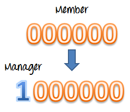 Manage Project Team