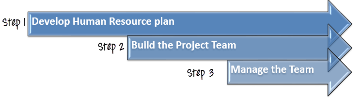 How to build and manage an effective Team
