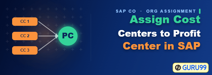 Assign Cost Centers to Profit Center in SAP