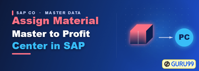 Assign Material Master to Profit Center in SAP