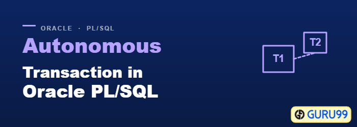 Autonomous Transaction in Oracle PL/SQL with COMMIT and ROLLBACK