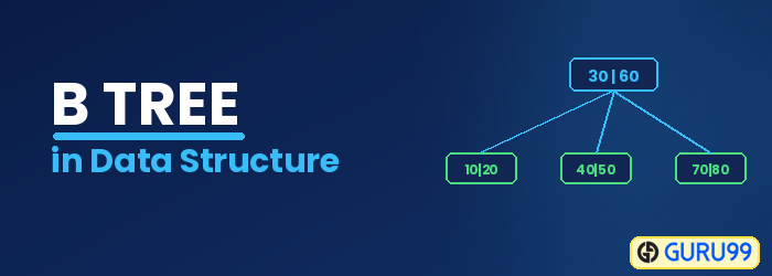 B TREE in Data Structure: Search, Insert, Delete Operation Example