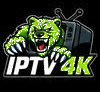Beast IPTV 4K