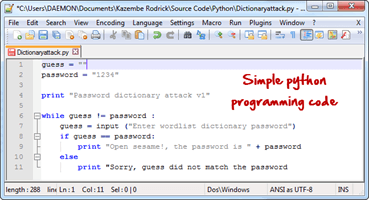 Programming Language for Ethical Hacking & Skills Required