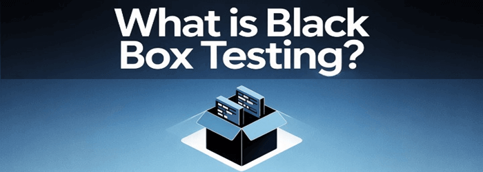 Black Box Testing