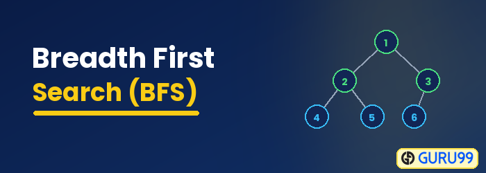 Breadth First Search (BFS) Algorithm with Example