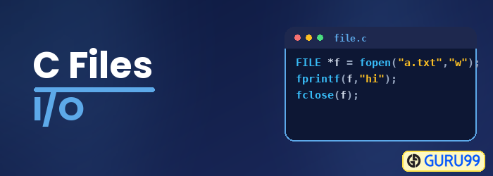 C Files I/O