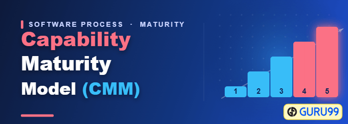 Capability Maturity Model (CMM)