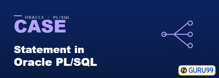 CASE Statement in Oracle PL/SQL