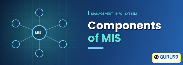 Components and Role of MIS (Management Information System)