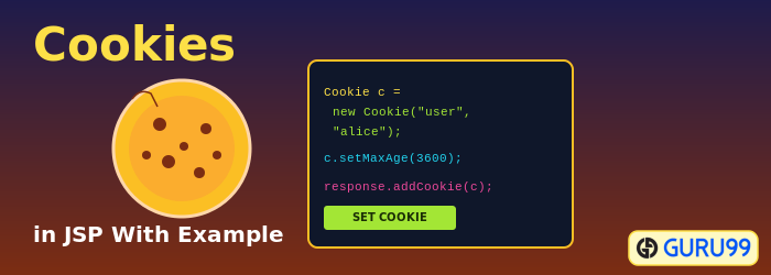 Cookies in JSP With Example