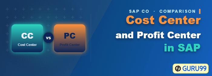 Cost Center and Profit Center in SAP