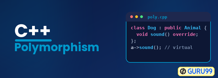 C++ Polimorfizm
