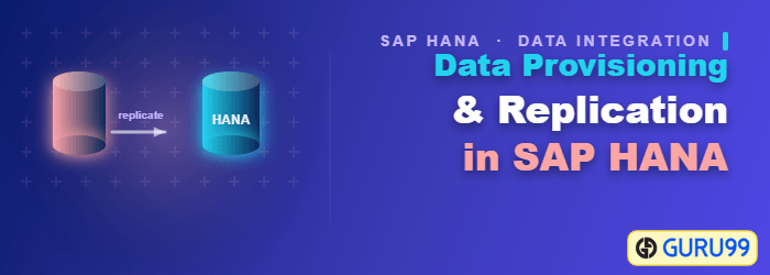 Aprovisionamiento y replicación de datos en SAP HANA