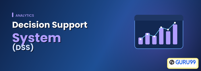 Decision Support System