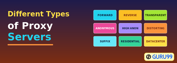 Types of Proxy Servers
