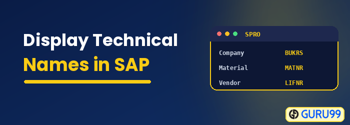 Display Technical Names in SAP