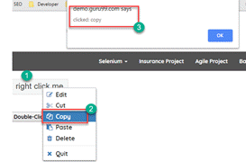 Right Click and Double Click in Selenium (Examples)
