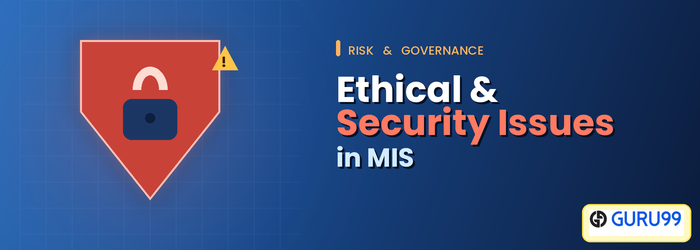 Ethical and Security Issues in Information System
