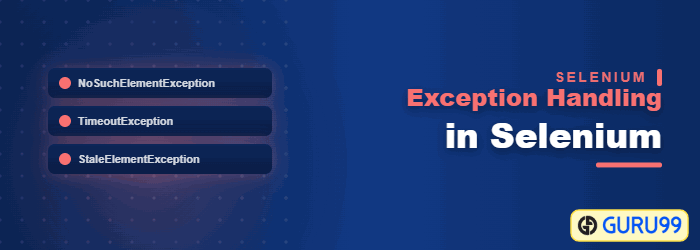 Exception handling in Selenium WebDriver with try-catch, throw and finally