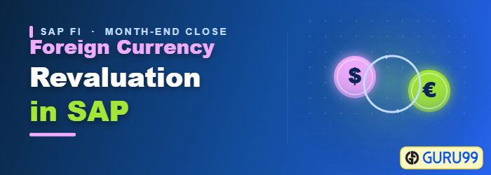 Foreign currency revaluation month-end closing flow in SAP
