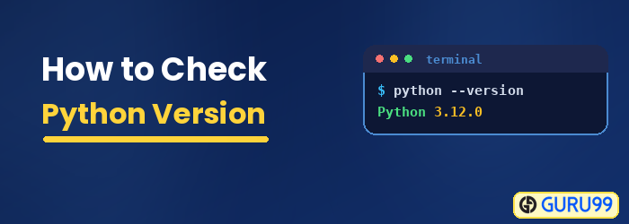 Como revisar Python Versión