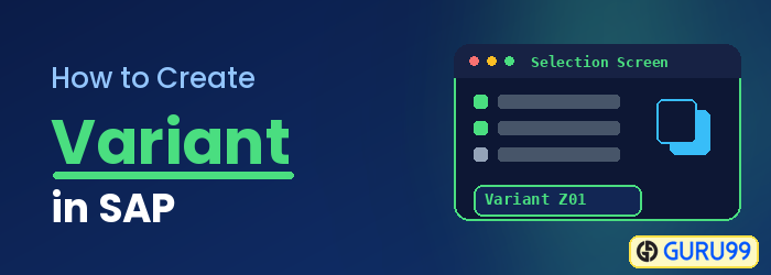 How to Create a Variant in SAP