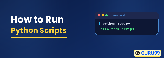 Hur man kör Python Skript