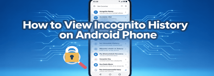 Vizualizați istoricul incognito pe Android Telefon
