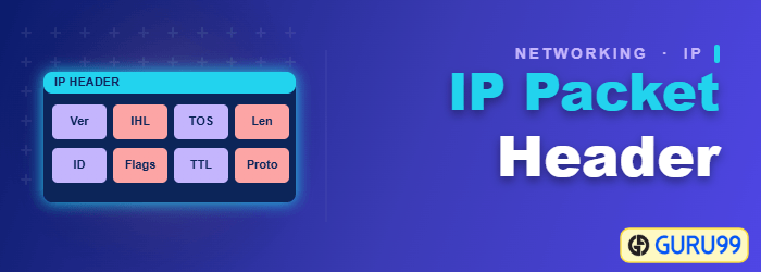IP Packet Header Format and Fields
