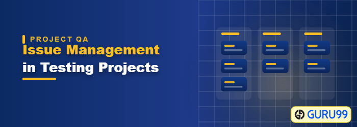 Issue Management in your Testing Project