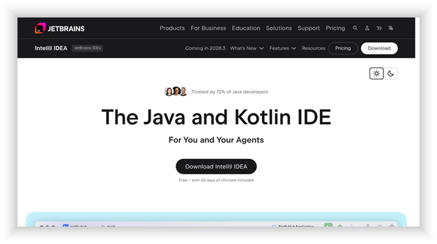 IntelliJ IDEA