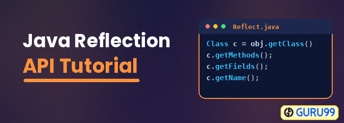 Java Reflection API Tutorial