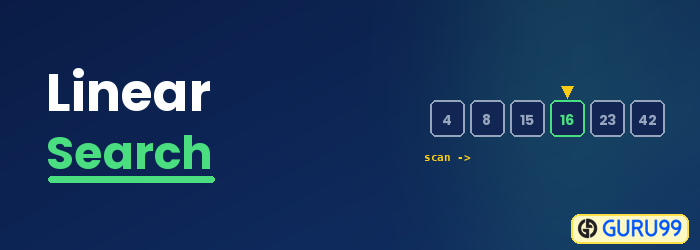 Linear Search Algorithm