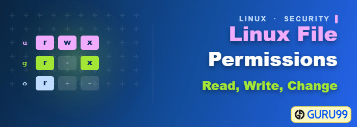 File Permissions in Linux and Unix: how to read, write, and change
