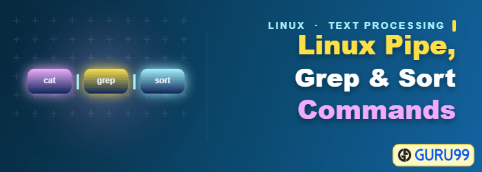Pipe, grep, and sort commands in Linux and Unix with examples
