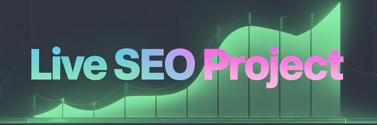 Proiect SEO live