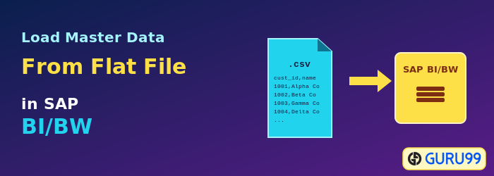 Load Master Data From Flat File in SAP BI/BW