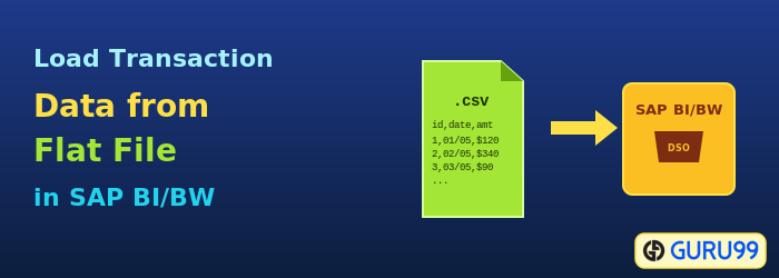 Load Transaction Data from Flat File in SAP BI/BW