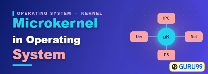Microkernel in Operating System