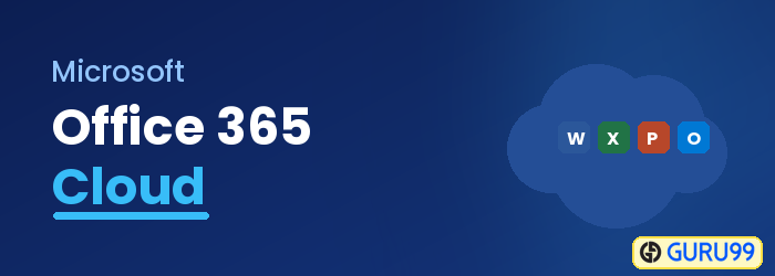 Excel in the Cloud with Microsoft Office 365