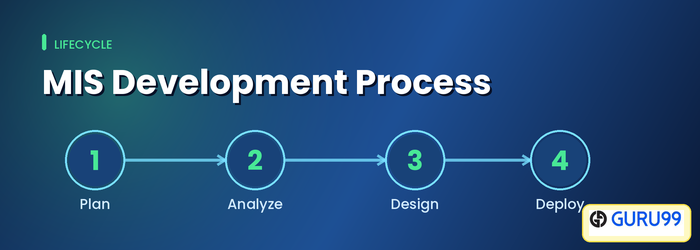 MIS Development Process with System Development Life Cycle