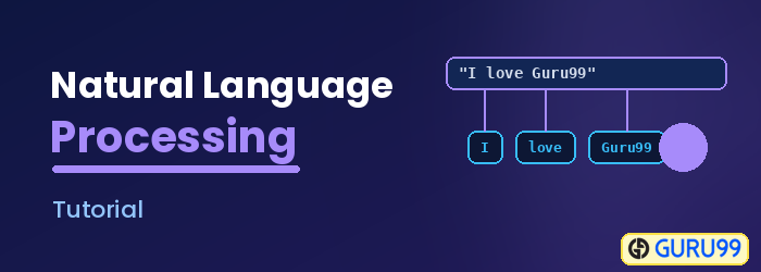 Natural Language Processing Tutorial