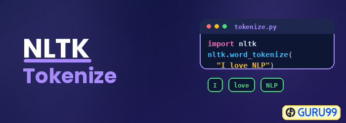NLTK Tokenize